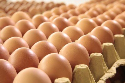 安徽鸡蛋检测价格,鸡蛋检测机构,鸡蛋检测项目,鸡蛋常规检测